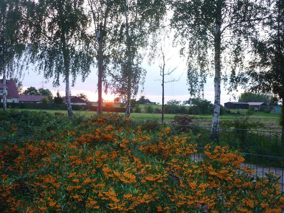 Apartmán Erpelhaus Utzberg Exteriér fotografie