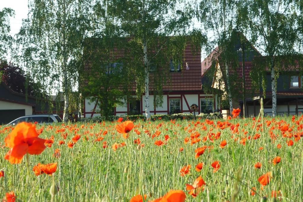 Apartmán Erpelhaus Utzberg Exteriér fotografie
